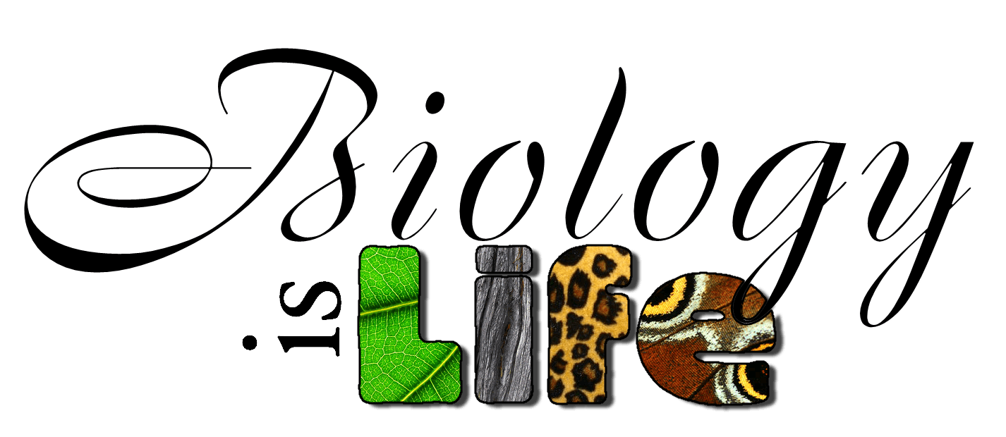 Biology Title Page Clipart