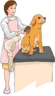 Dog Grooming Clip Art Download 608 clip arts