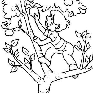 Clipart boy climbing up tree