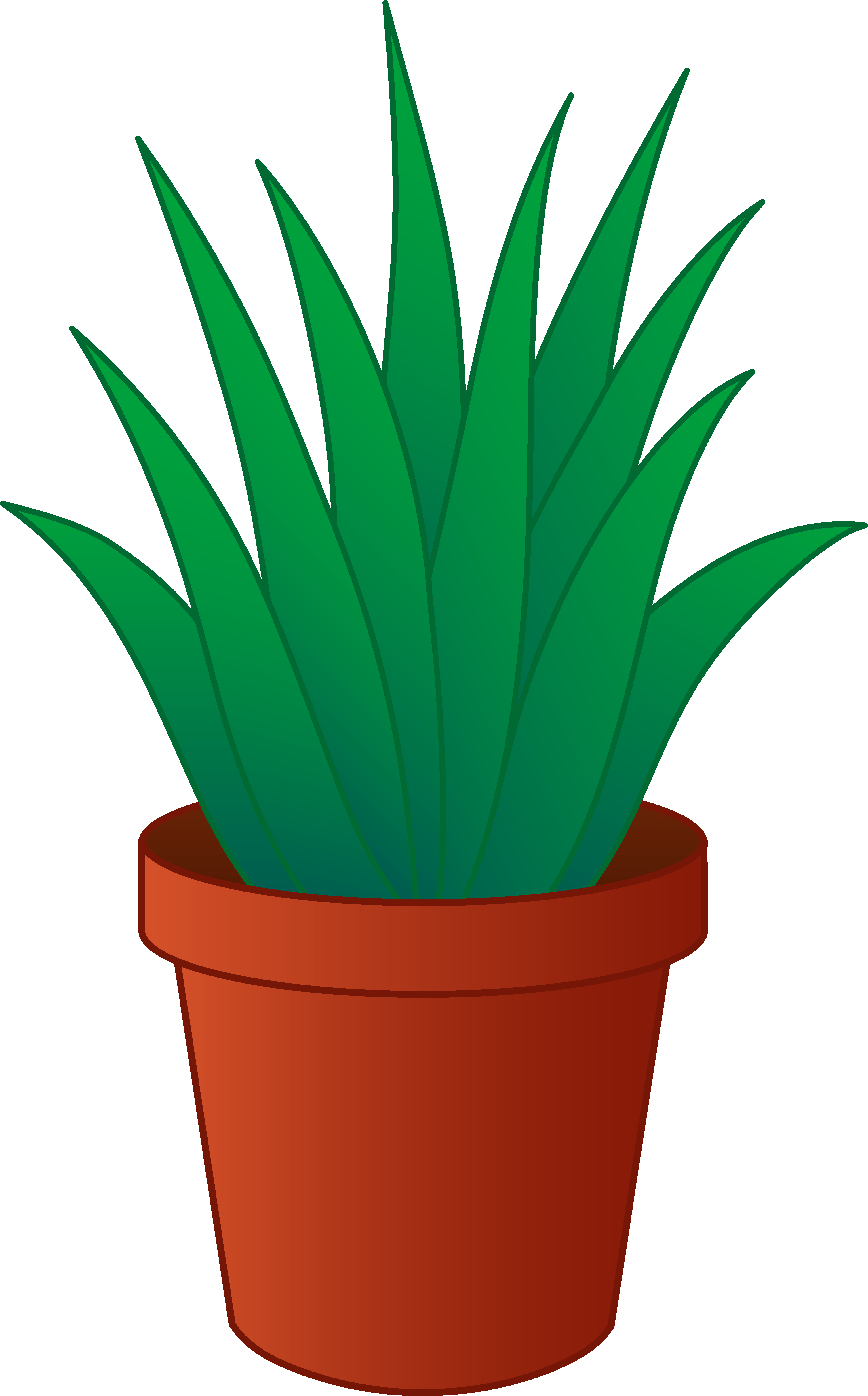 Pictures Of Potted Plants