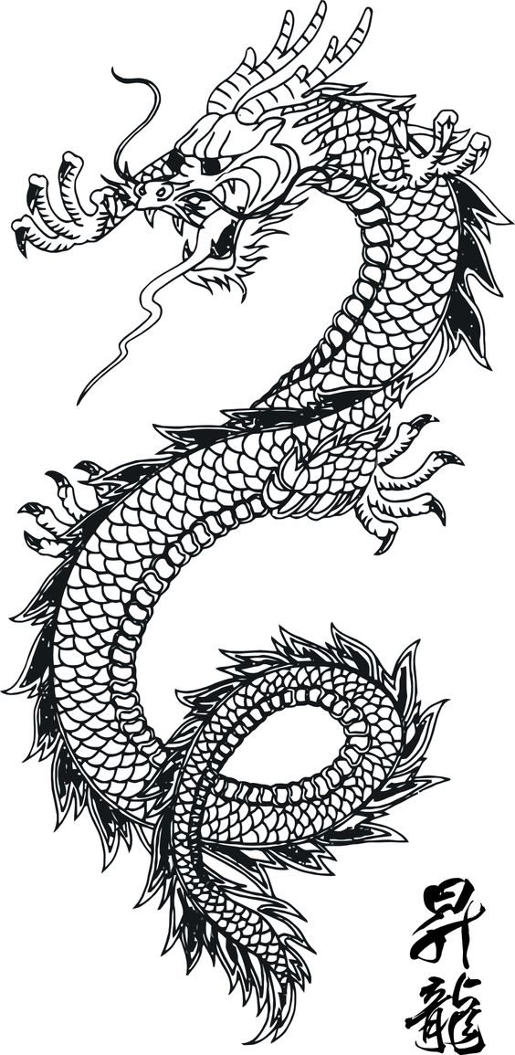 Line art traditional chinese dragon scales and pattern without