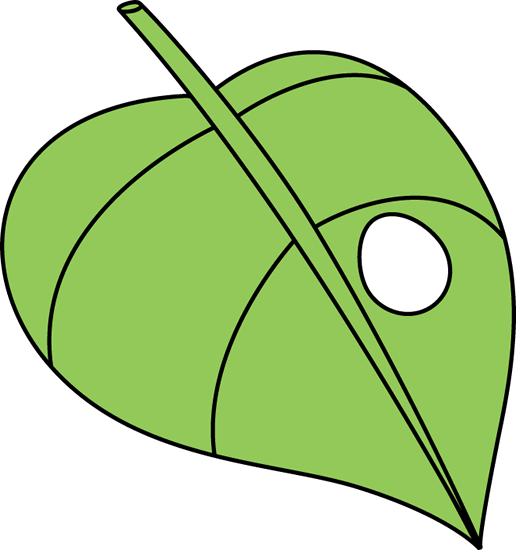 Caterpillar On Leaf Clipart
