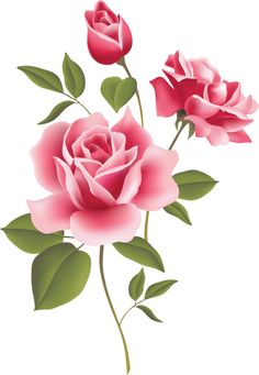 Red Roses Transparent PNG Clipart