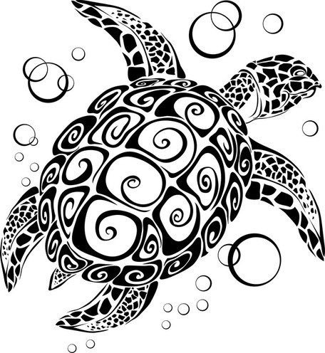 Turtle Clip Art, Vector Turtle