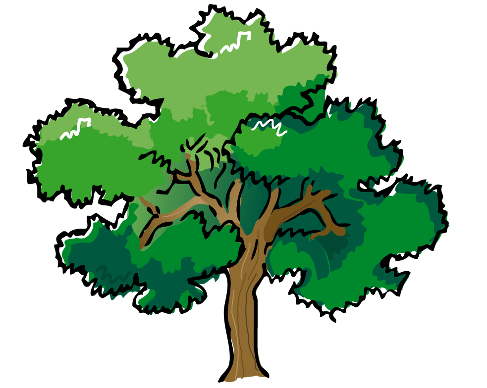 Image Of Tree