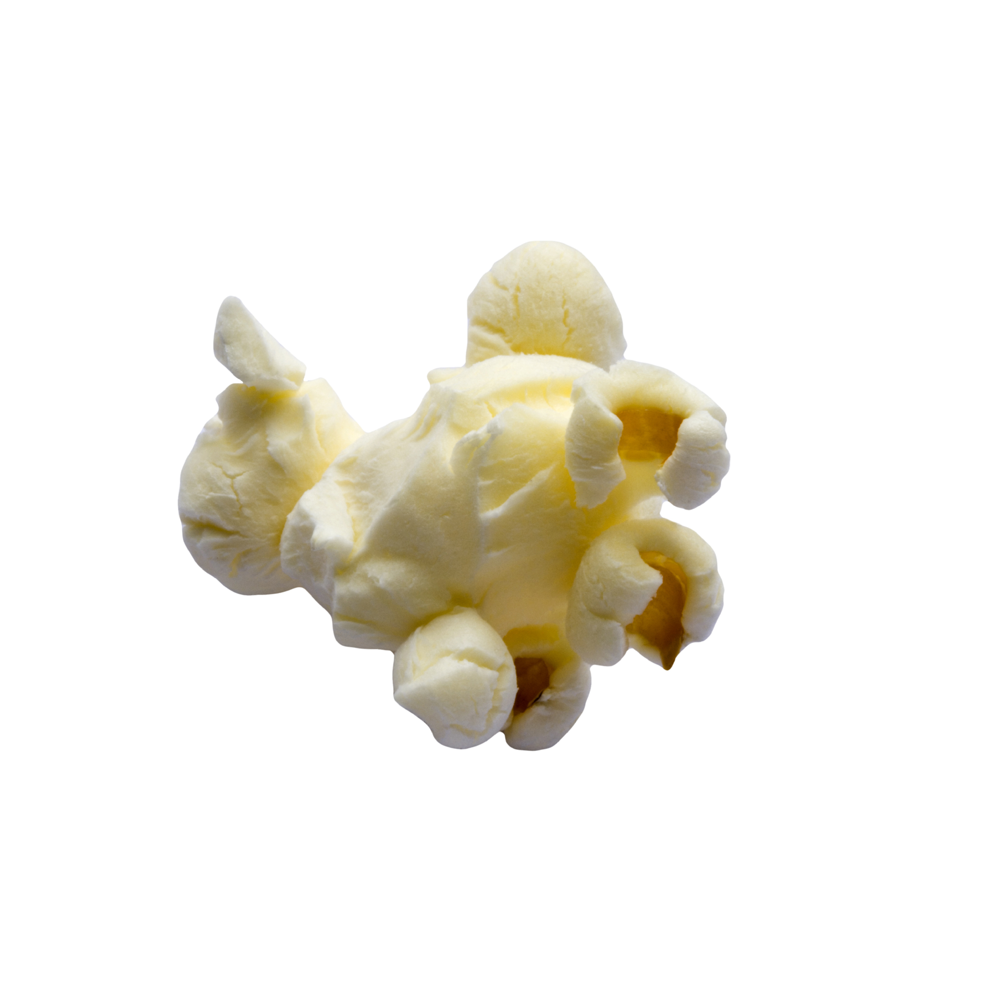 Popcorn Kernel Clipart