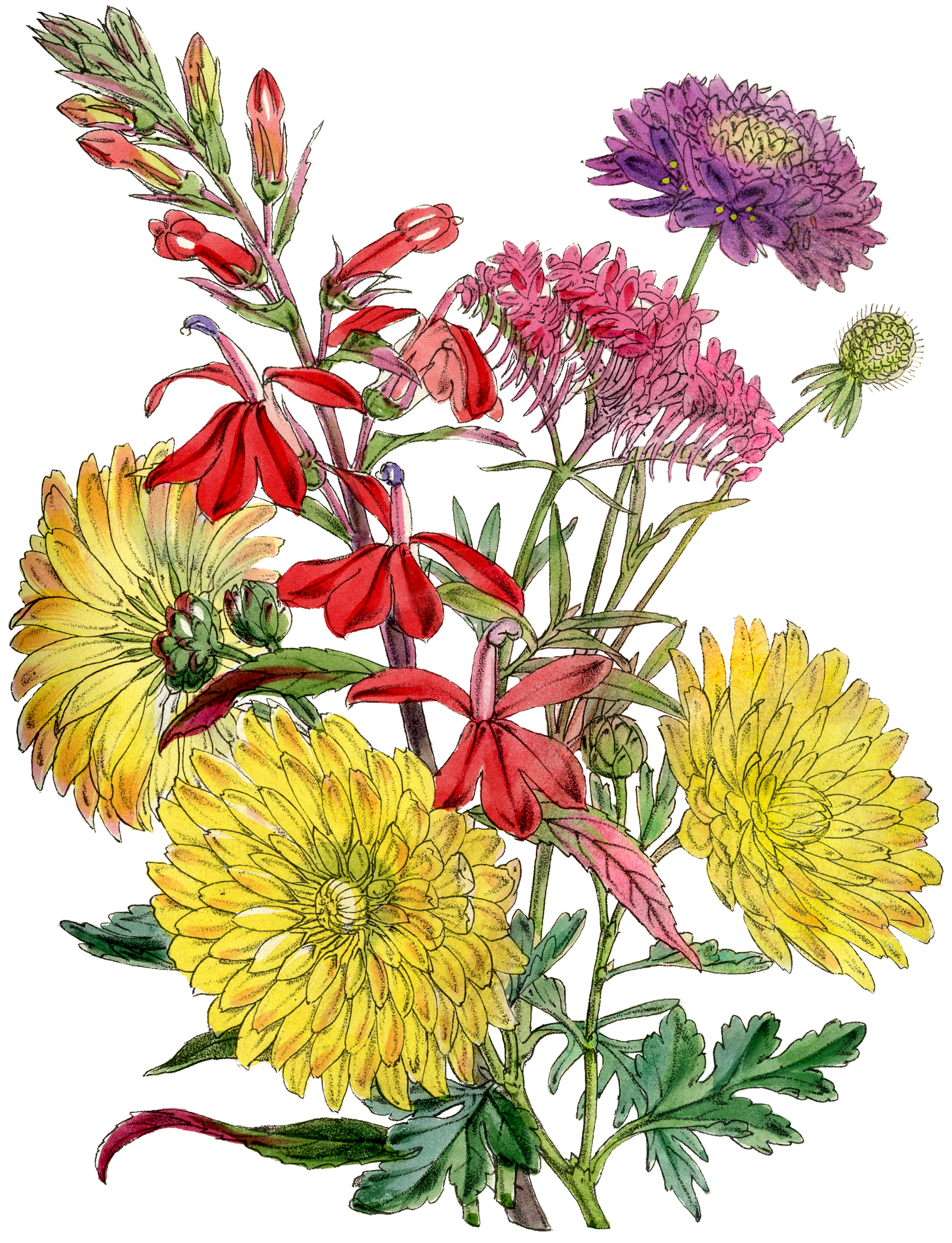 Victorian flower image