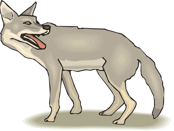 Coyote With Tongue Clip Art 