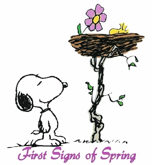 Clip Arts Related To : snoopy and woodstock spring. 