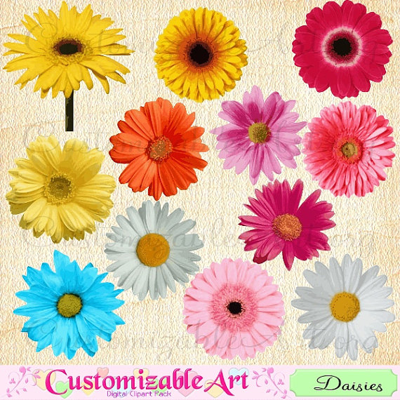 Daisy Clipart Digital Daisy Flowers Clipart by CustomizableArt