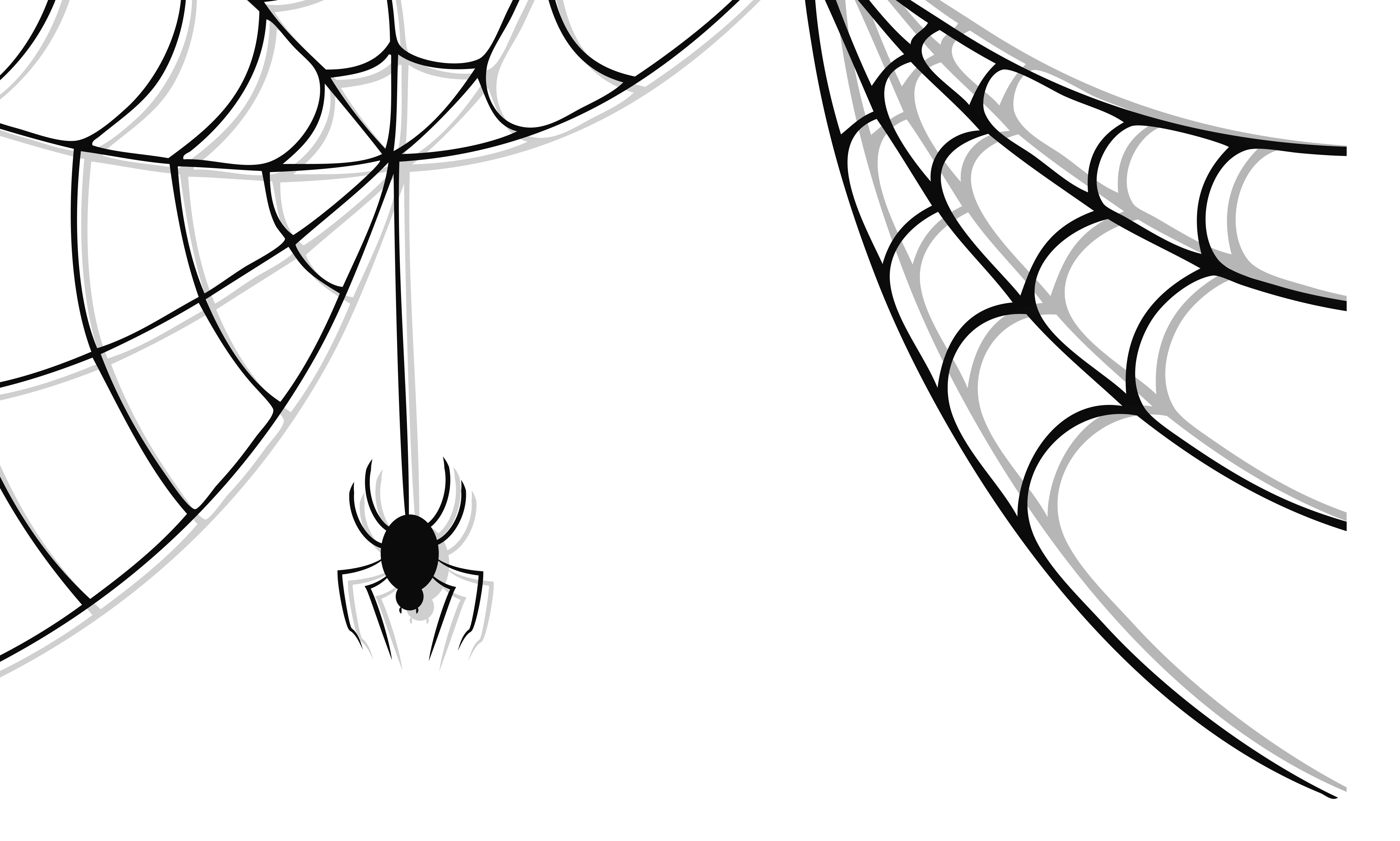 spider hanging from web drawing png Clip Art Library