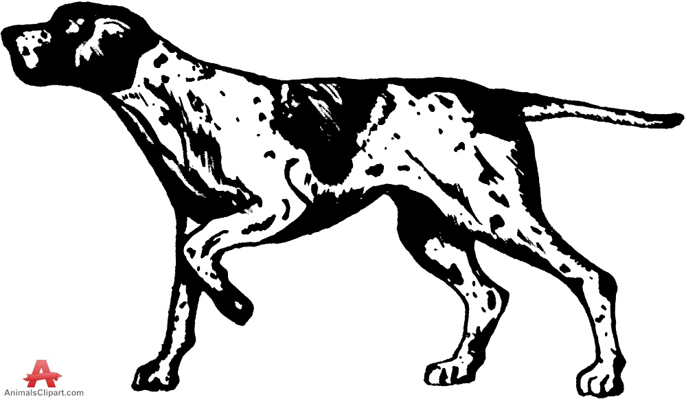 Hunting Dog Drawing Clipart