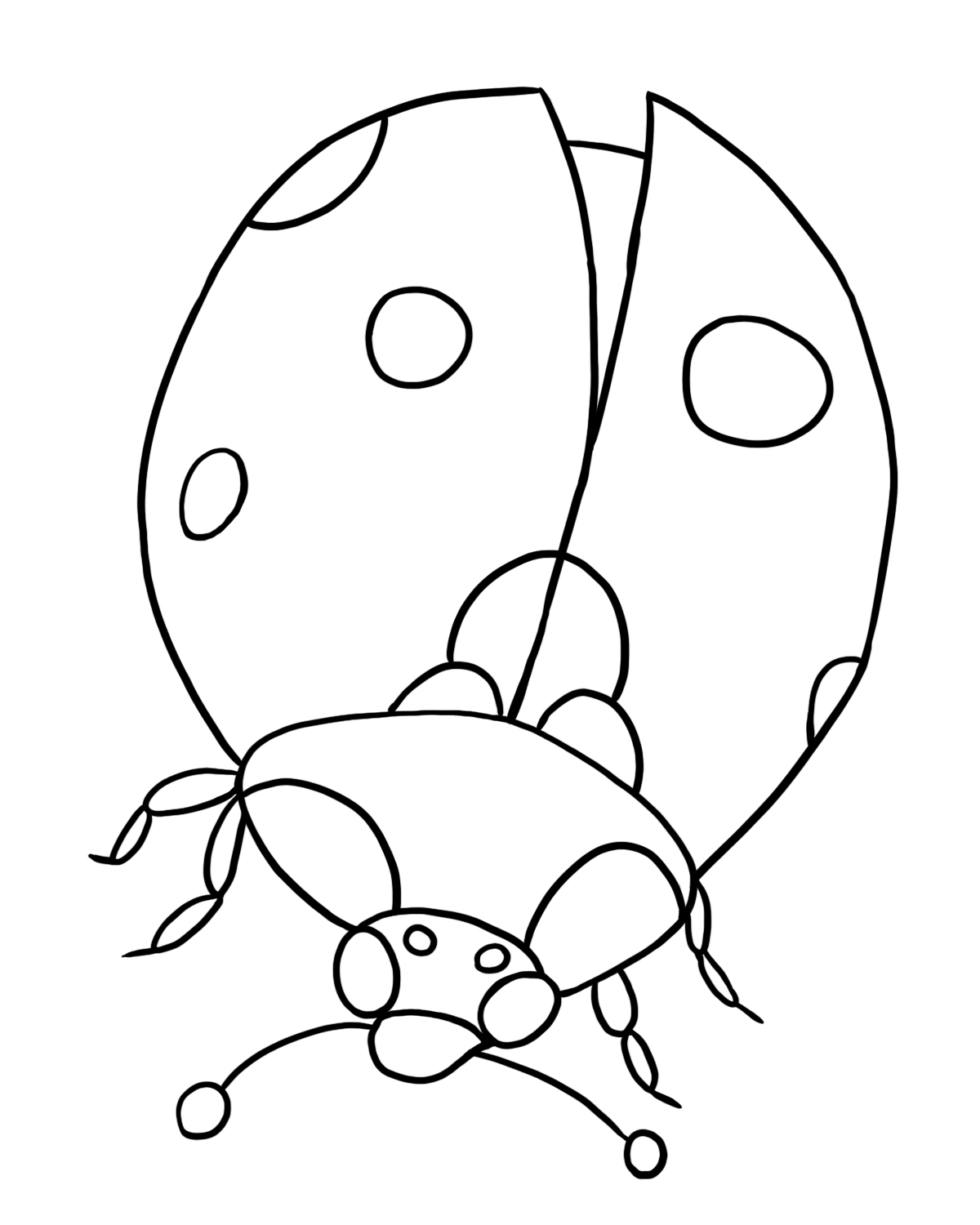 Free Printable Bugs Cliparts Download Free Printable Bugs Cliparts Png