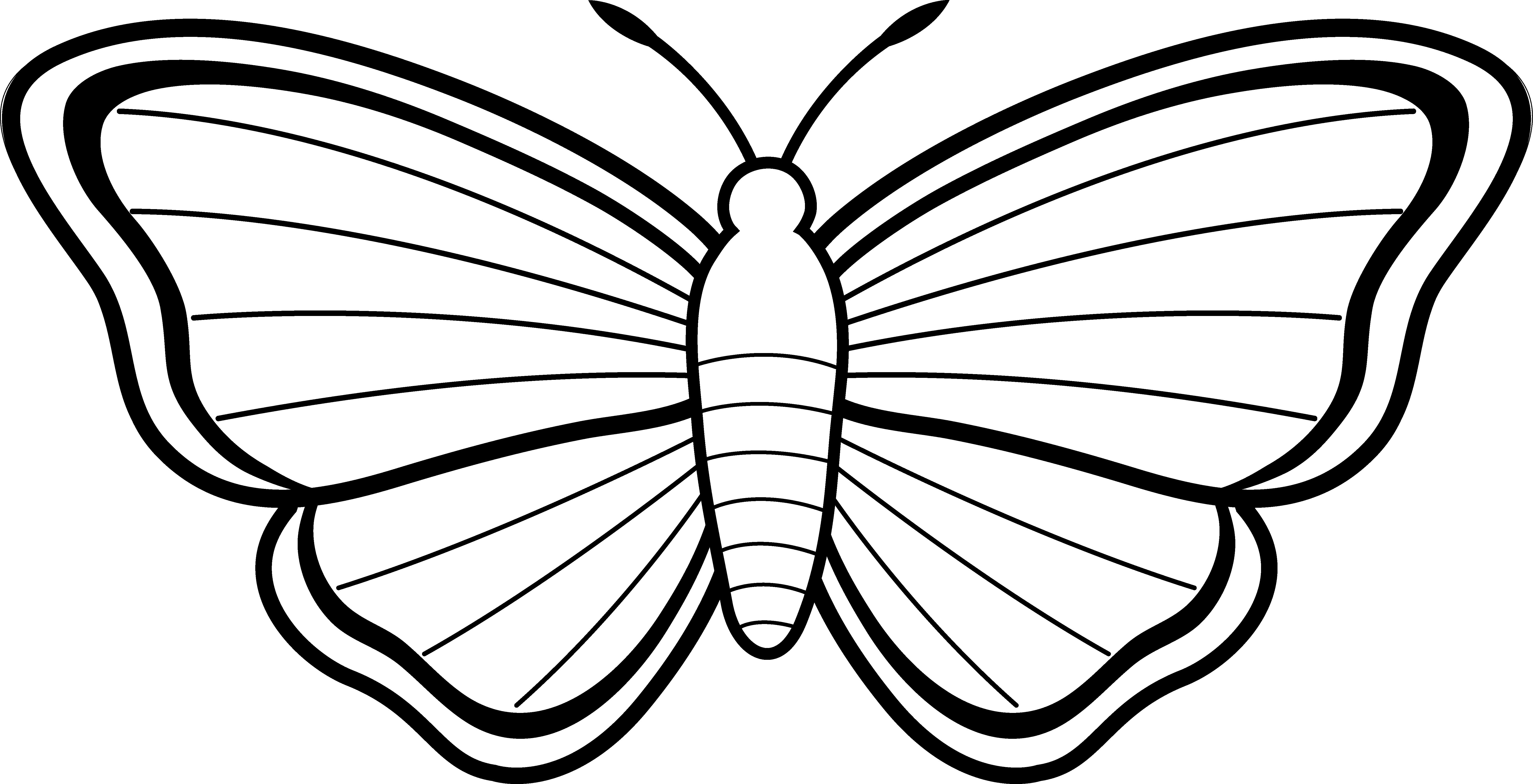 Cartoon Butterfly Clipart