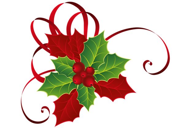 Christmas Red Green Mistletoe PNG Picture