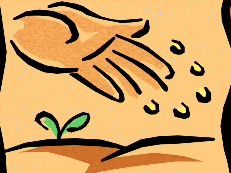 Planting seeds clipart