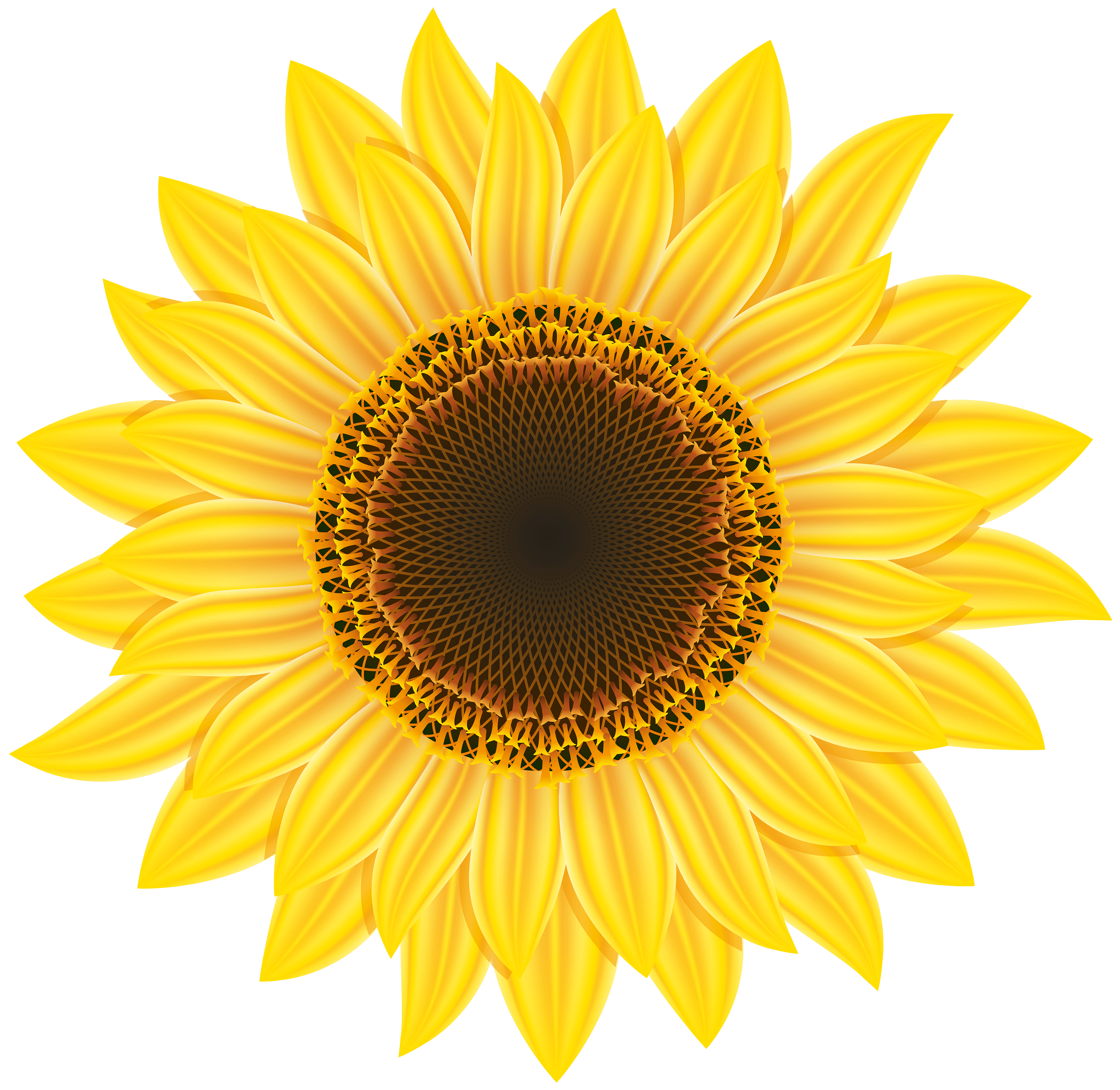 sunflower-logo-templates-cliparts-retro-logo-design-logo-sketches-logo-templates