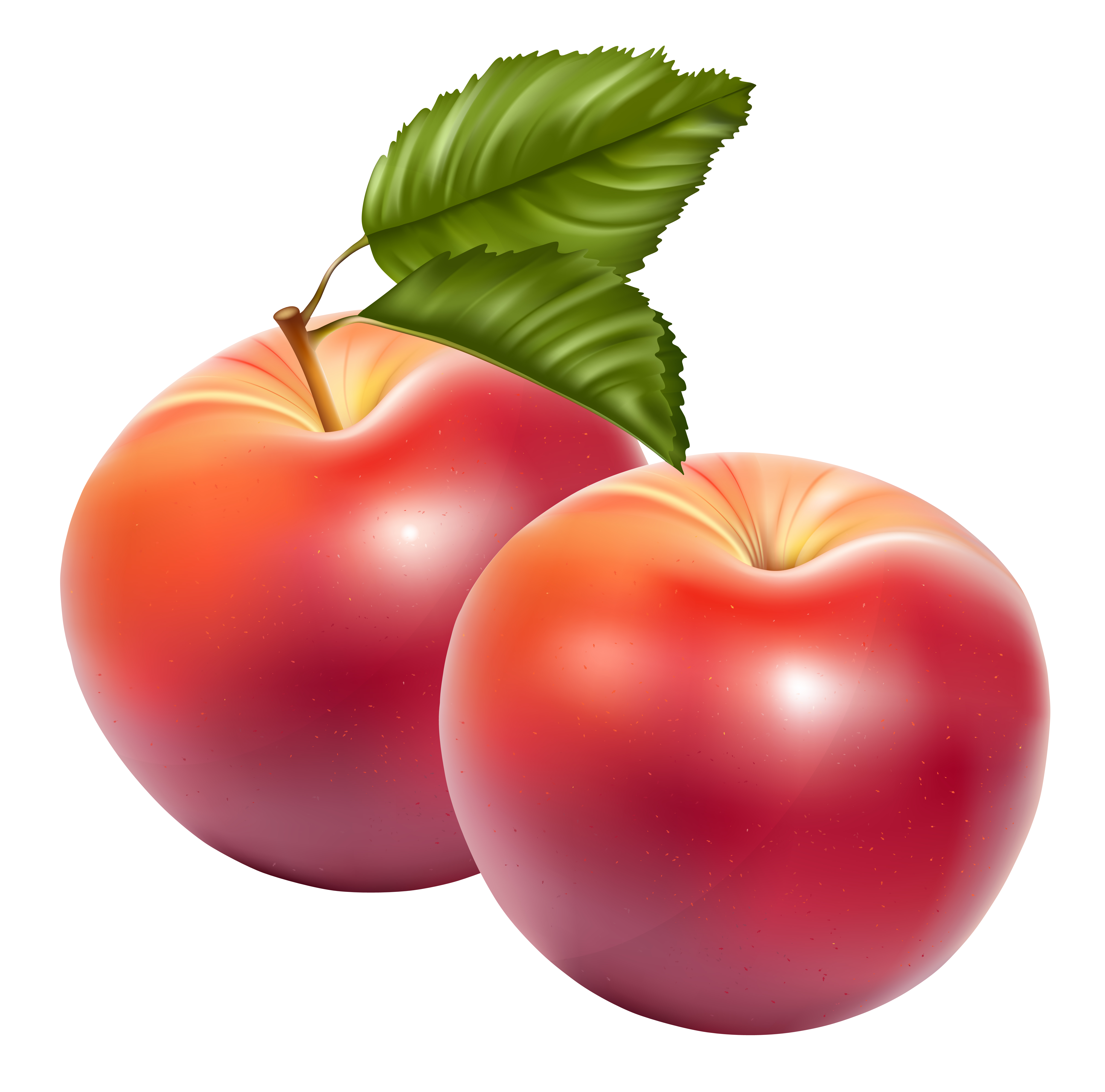 Free Apple Fruit PNG Transparent Images, Download Free Apple Fruit PNG