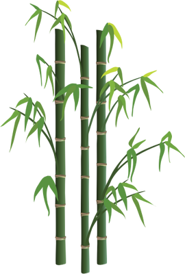 Free Bamboo Vector Png Download Free Bamboo Vector Png Png Images Free Cliparts On Clipart Library