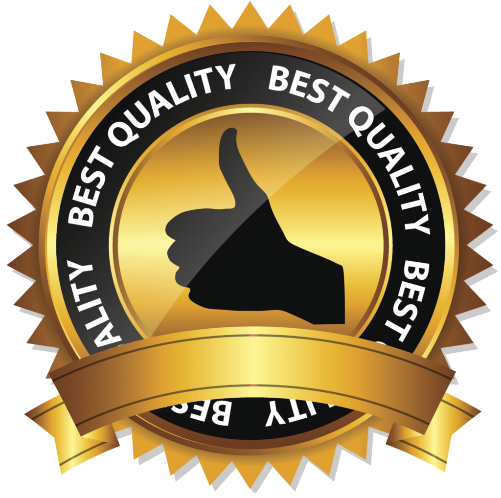 High Quality Cliparts 100 Best Quality Logo Png Transparent Cartoon 