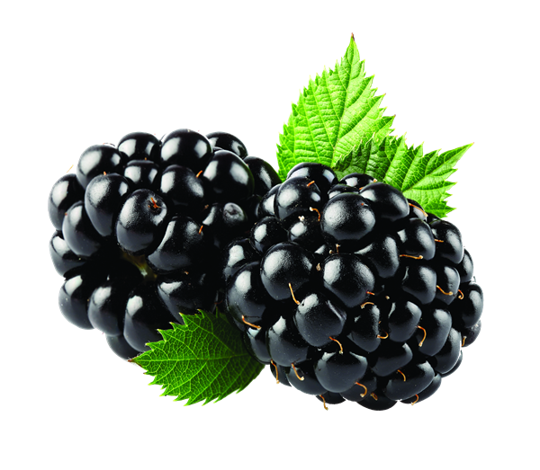 Blackberry Fruit PNG Image 