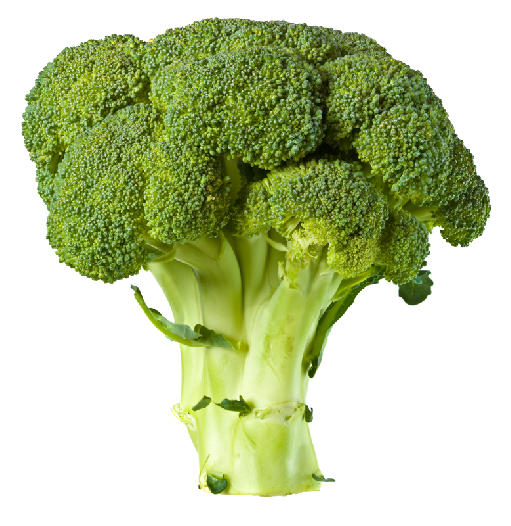 Broccoli PNG Picture 