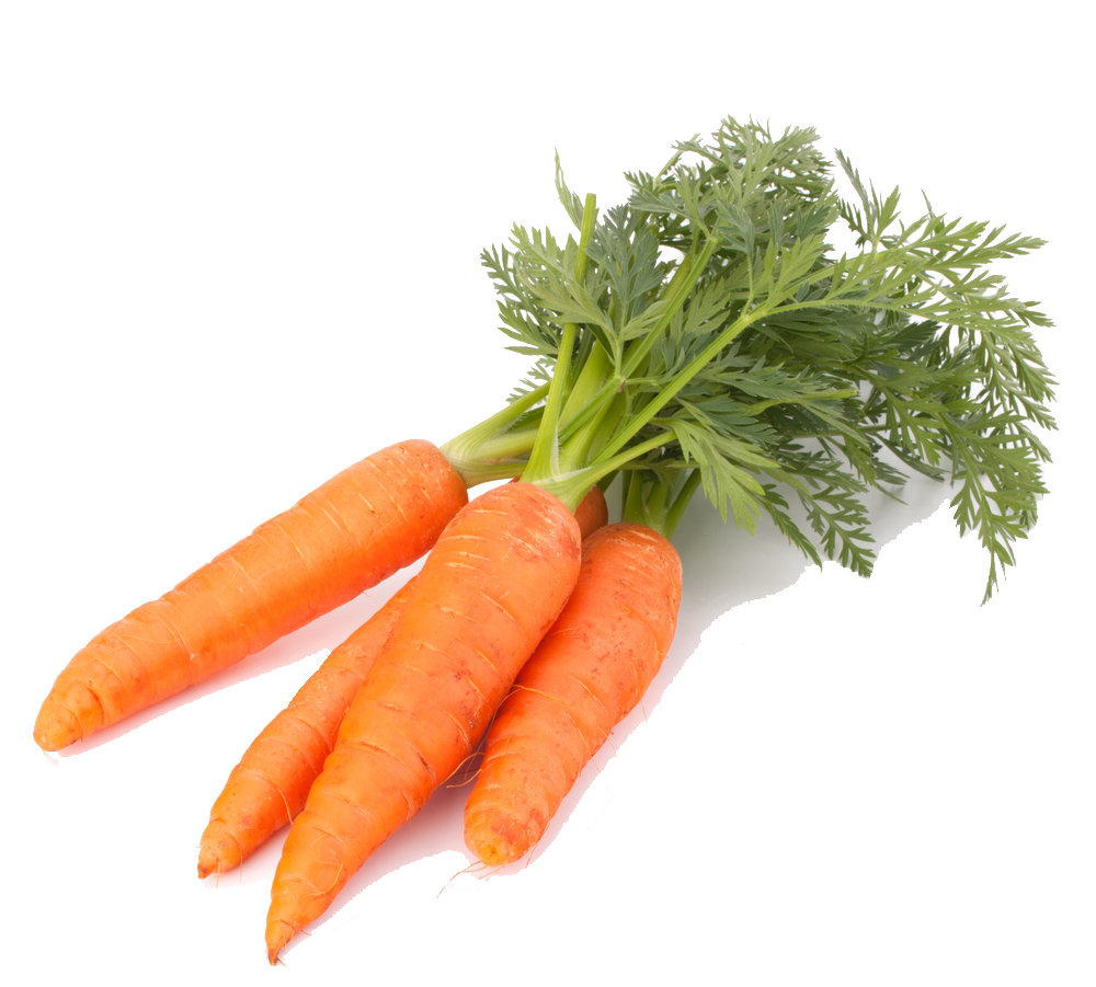 Carrot PNG 