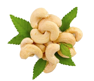 Free Cashew PNG Transparent Images, Download Free Cashew PNG