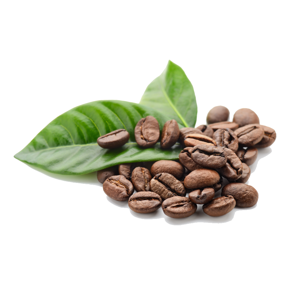 Coffee Beans Free PNG Image 