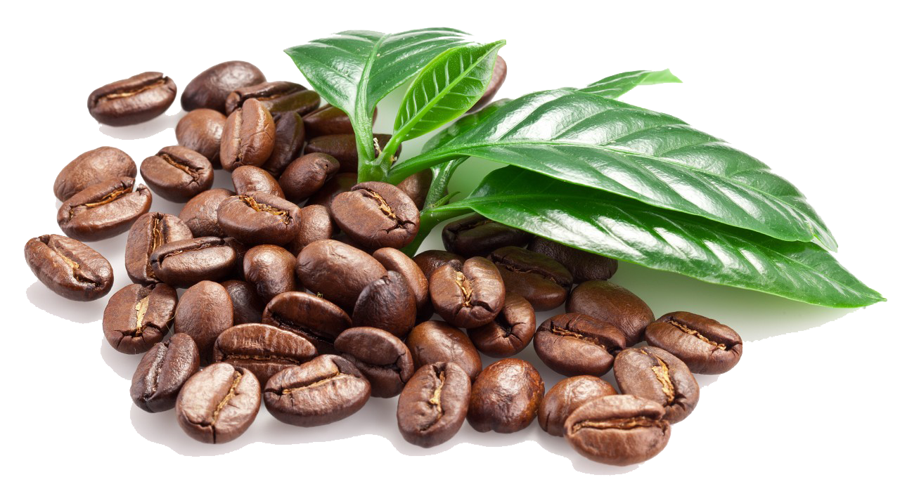 coffee beans clipart - photo #33