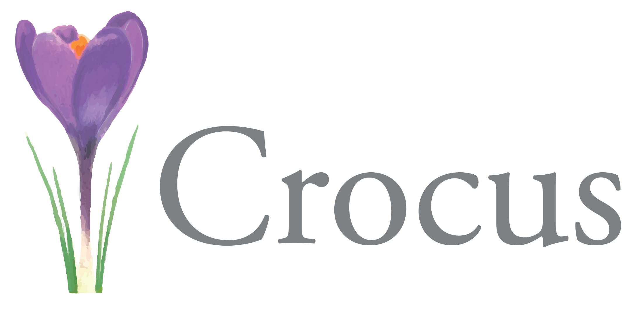 Crocus PNG Pic 