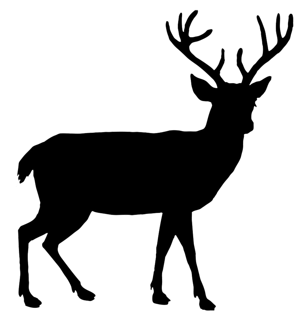 Deer PNG 