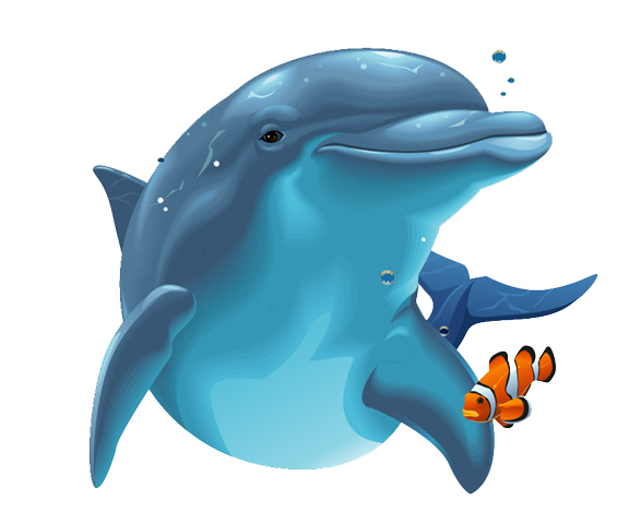 Free Dolphin PNG Transparent Images, Download Free Dolphin PNG Transparent  Images png images, Free ClipArts on Clipart Library