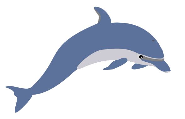Dolphin PNG Picture 