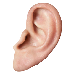 Ear PNG HD 