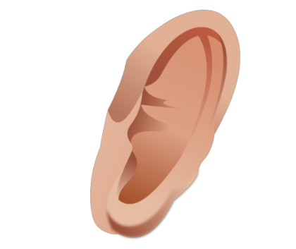 Ear With Transparent Background Clip Art Library