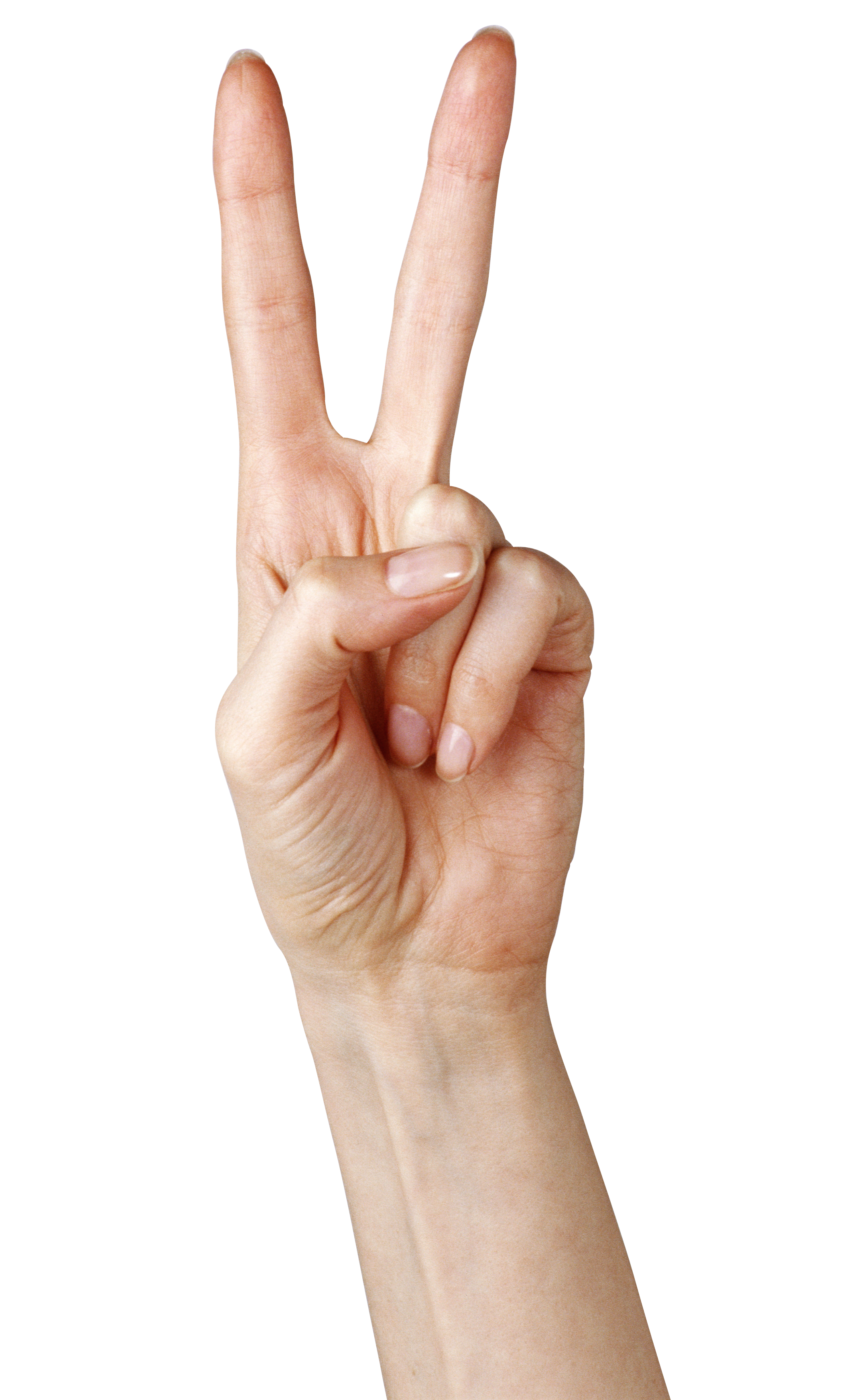 Fingers PNG Clipart 