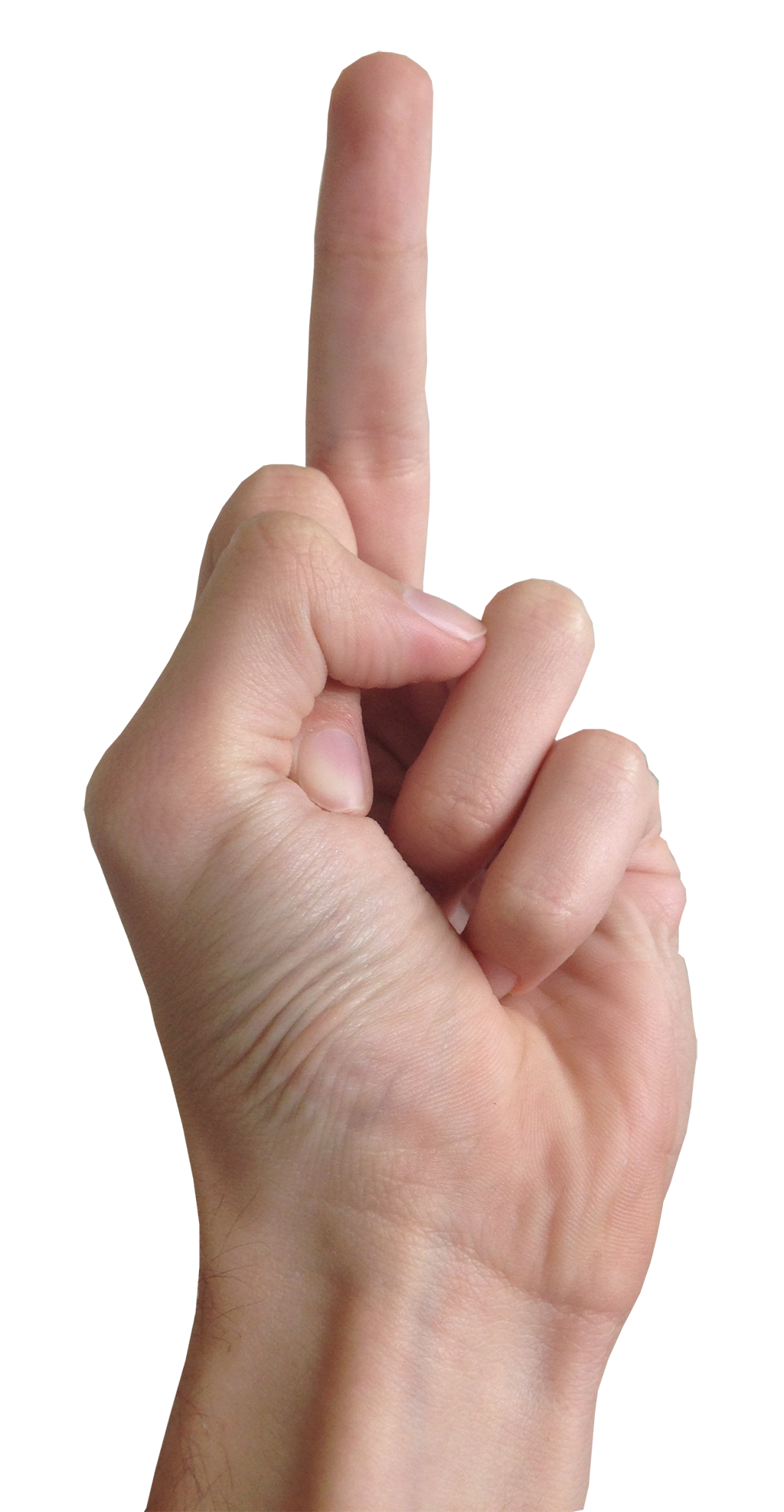 Fingers PNG File 