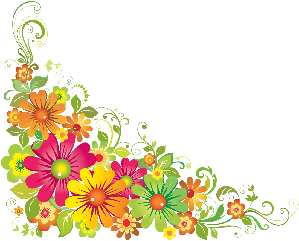 Floral PNG Image 