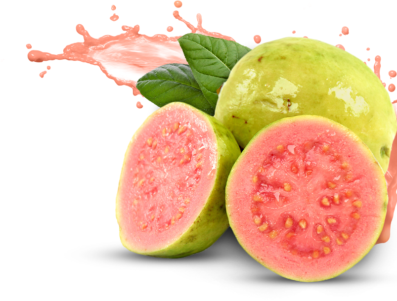 Guava PNG Pic 