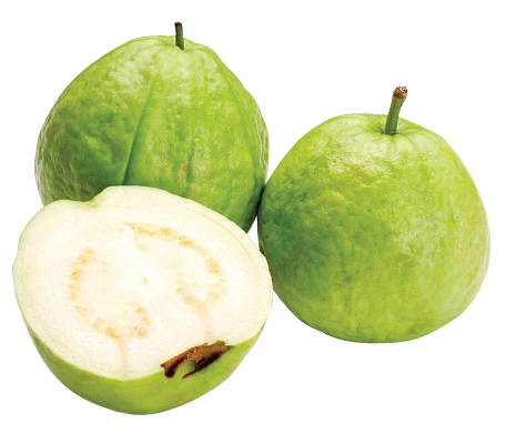 Guava PNG Picture 