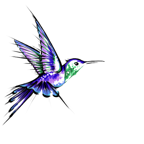 Hummingbird Tattoos Transparent 