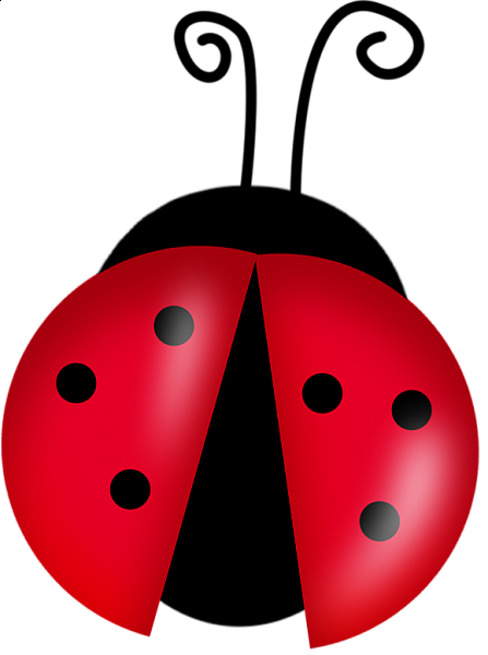 Ladybug PNG File 