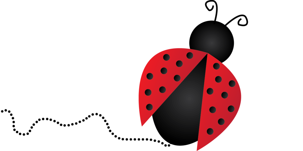 Ladybug PNG Image 