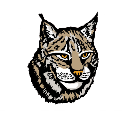 Free Lynx PNG Transparent Images, Download Free Lynx PNG Transparent