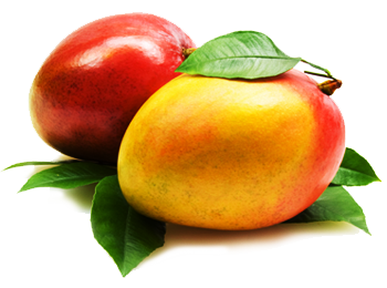 Mango PNG Clipart 