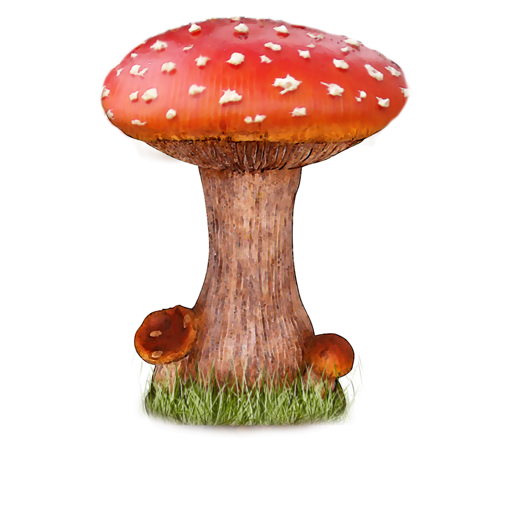 Mushroom PNG File 