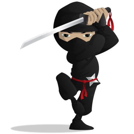 Ninja PNG 