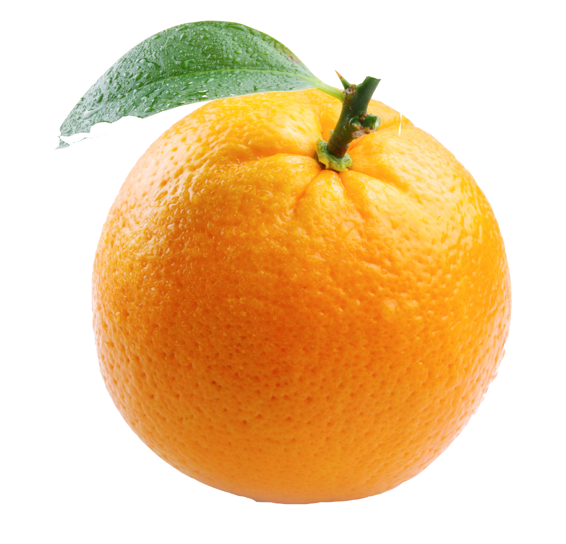 Orange Free PNG Image 