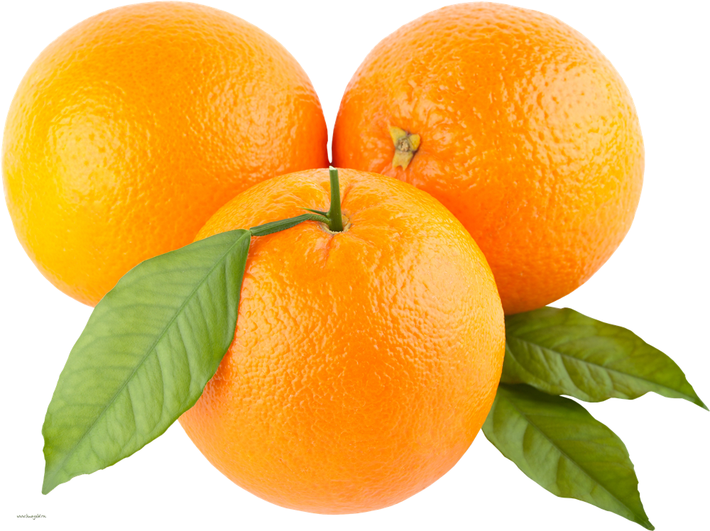 Free Orange PNG Transparent Images, Download Free Orange PNG